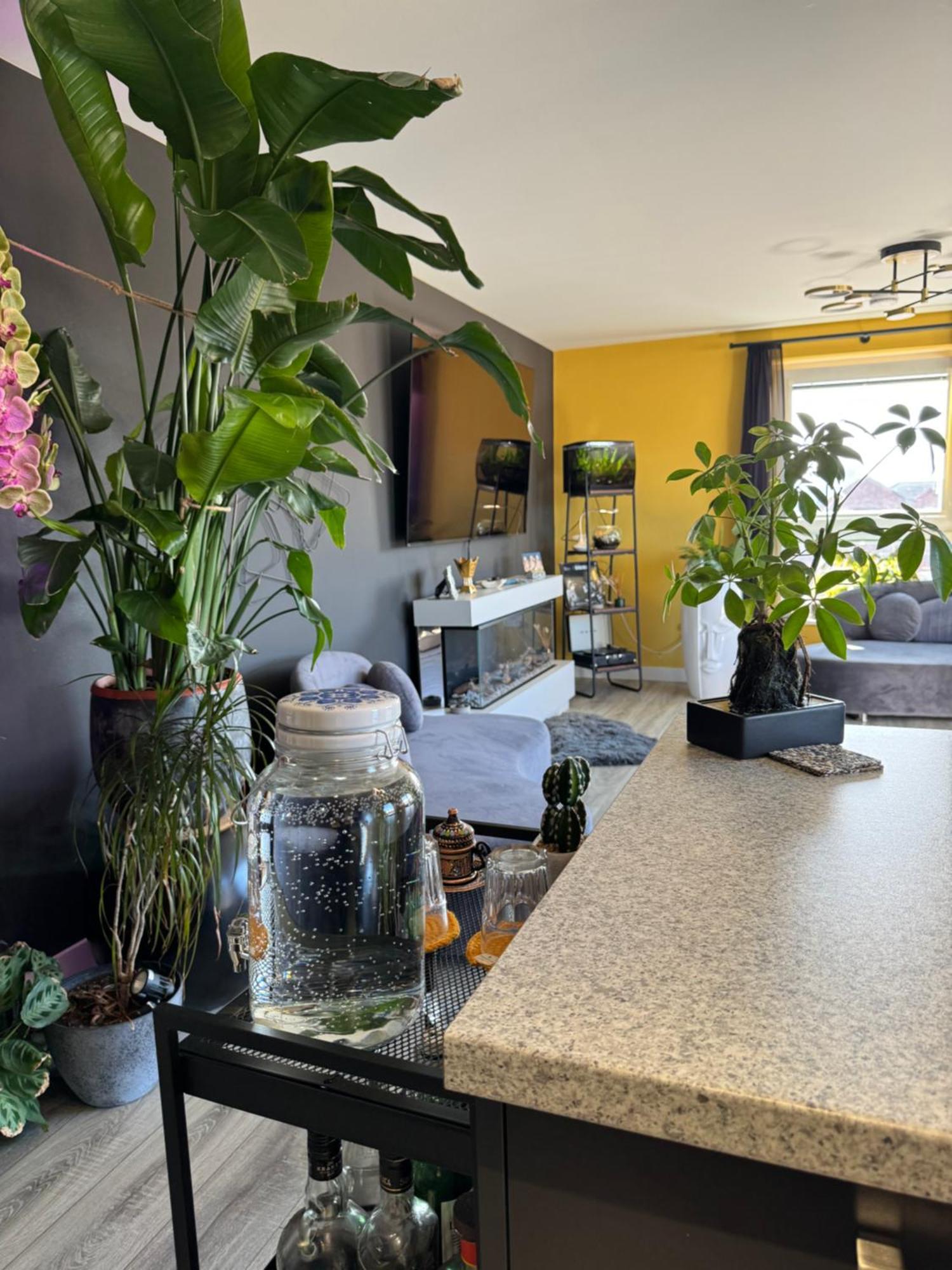 Homestay Private Cozy & Stylish Room In A Shared Flat In Edinburgh *